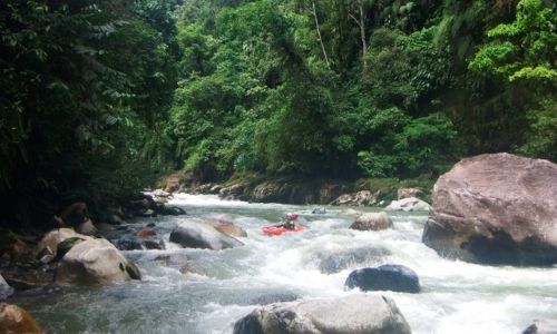 Kayakiste, Rivière Jondachi,, classe III, Nuevo Mundo, Équateur